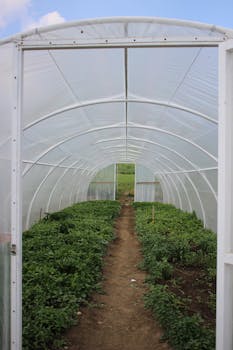 Innovative Agriculture Materials: Boosting Sustainability and Productivity
